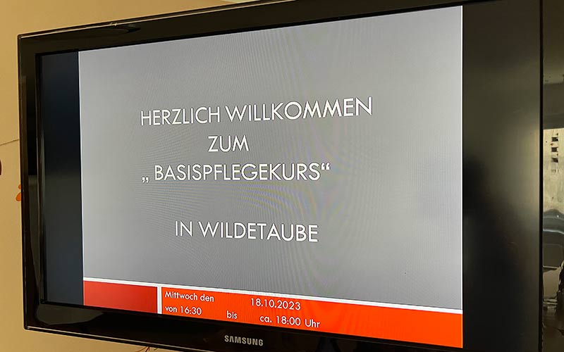 Pflegekurse Wildetaube